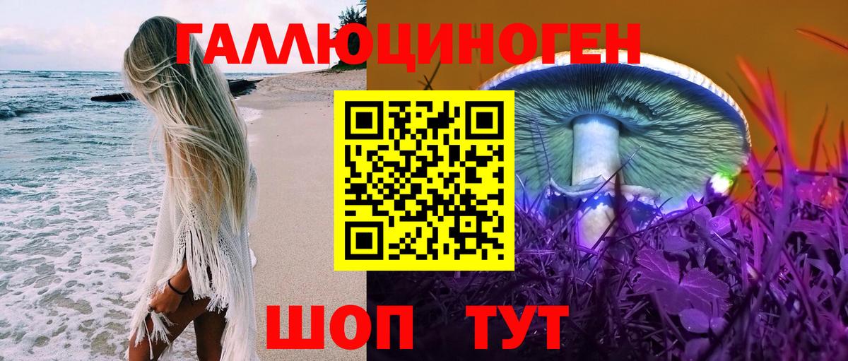 Галлюциногенные грибы MAGIC MUSHROOMS  Псилоцибиновые грибы Magic Shrooms  Вход с VPN  Казань 