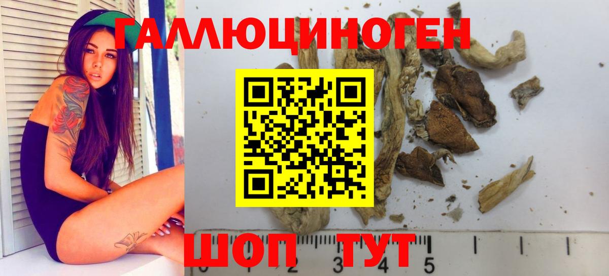 Галлюциногенные грибы MAGIC MUSHROOMS Казань